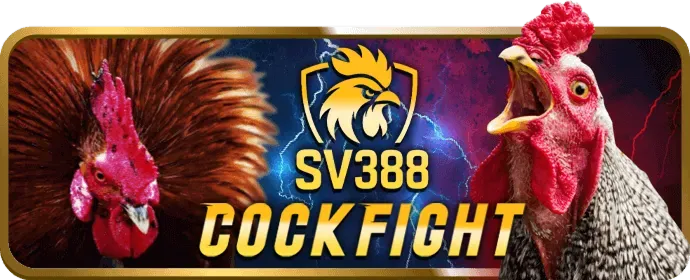 Hoàn trả hấp dẫn i9bet128